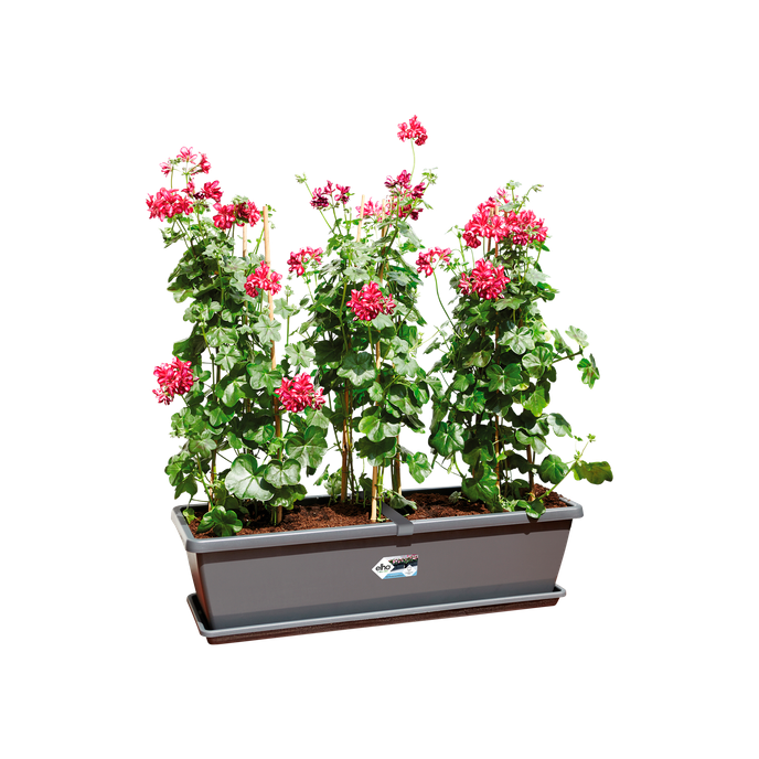barcelona xl schotel 60cm antraciet